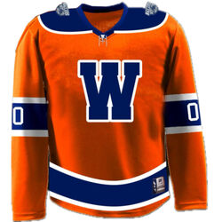 Legacy Junior Railers Orange Jersey (2016 and Older AAA/Travel Fill-In Only) Thumbnail